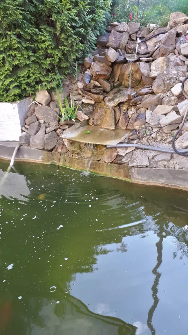 . Гостиница "Парадиз". Ольгинка