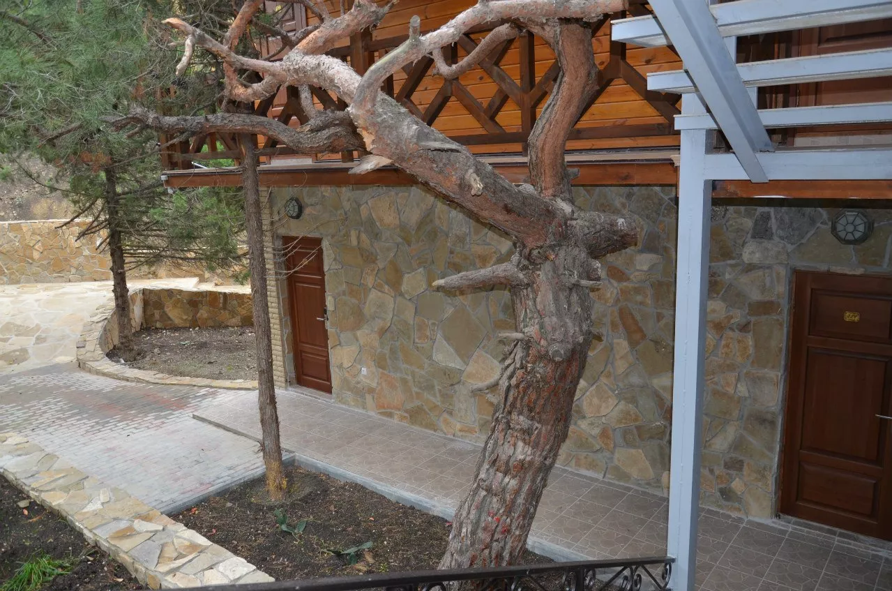 . Гостевой дом "Зеленая бухта". Отдых с детьми