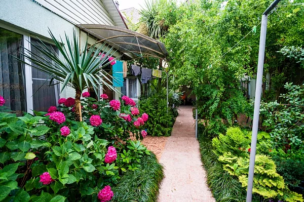 . Частный сектор "Колибри". Адлер