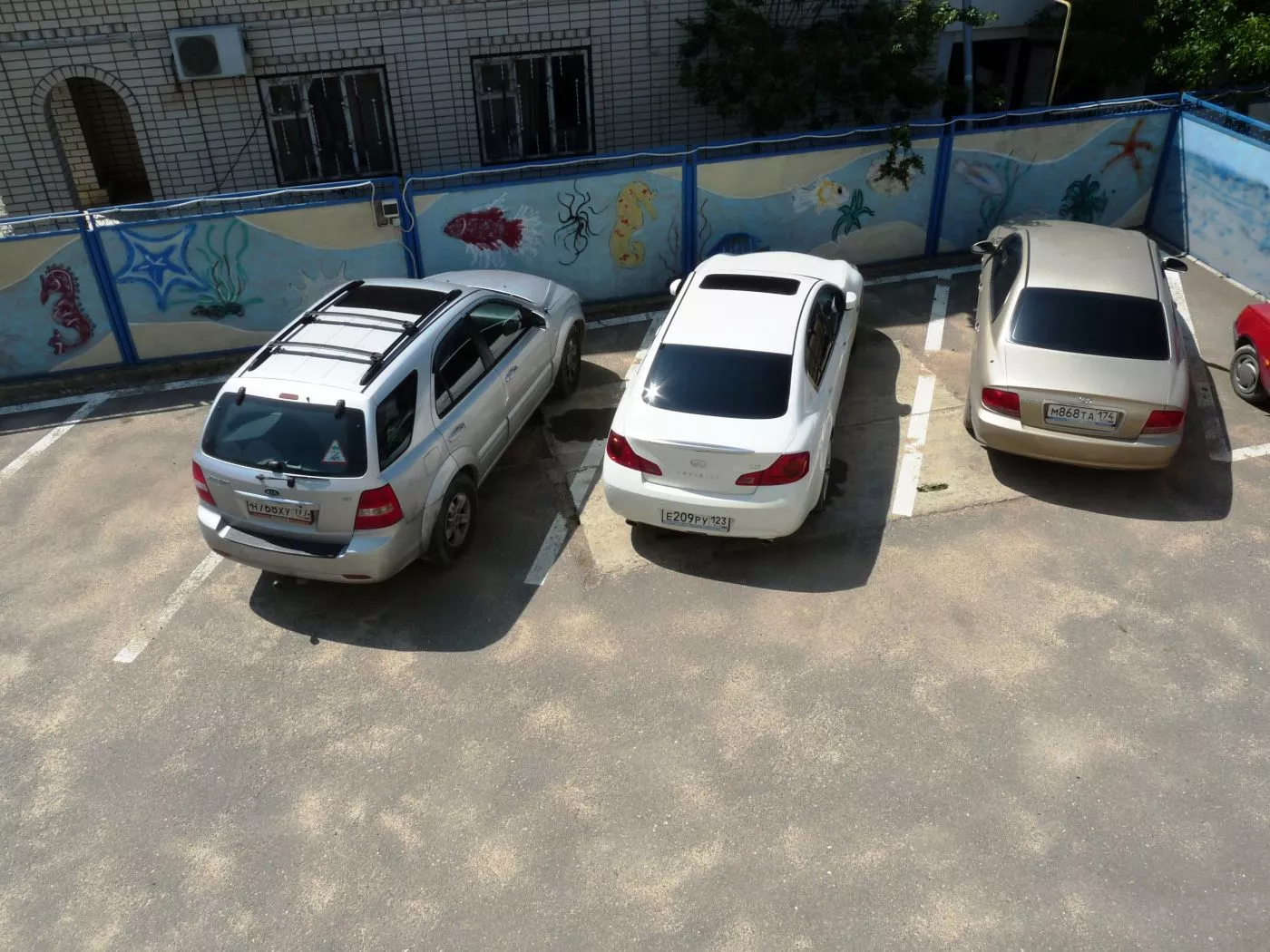 . Гостевой дом "Дельфин" - Голубицкая. Голубицкая