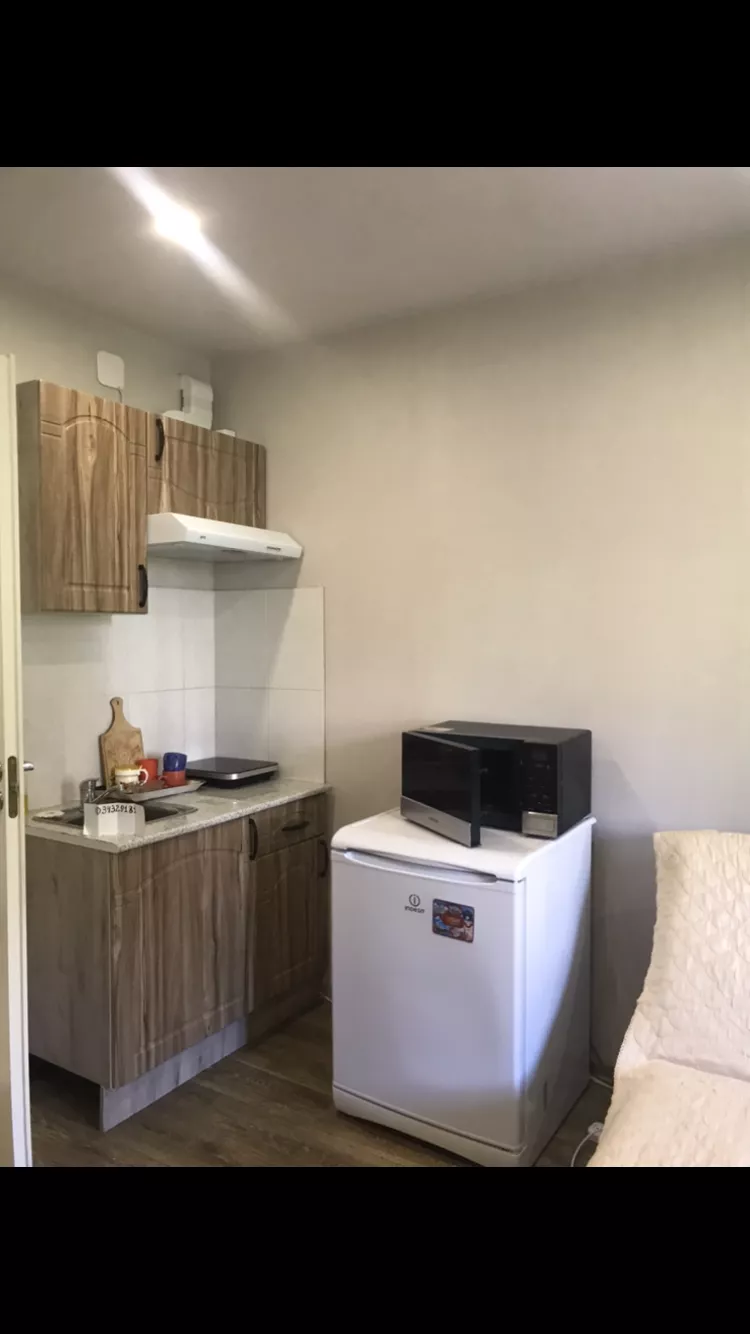 . Квартира поделённая на 2 студии каждая со всеми удобствами. Курорты Сочи