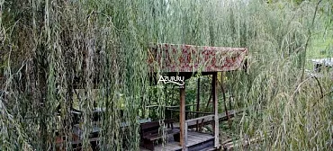 База отдыха "Алексеевка"