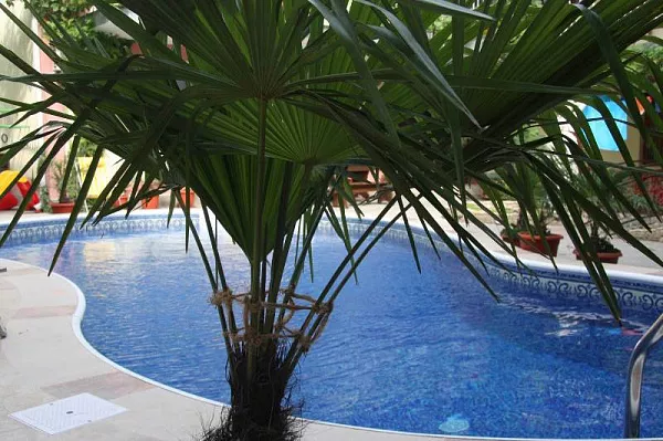 Гостиница  Гостиница