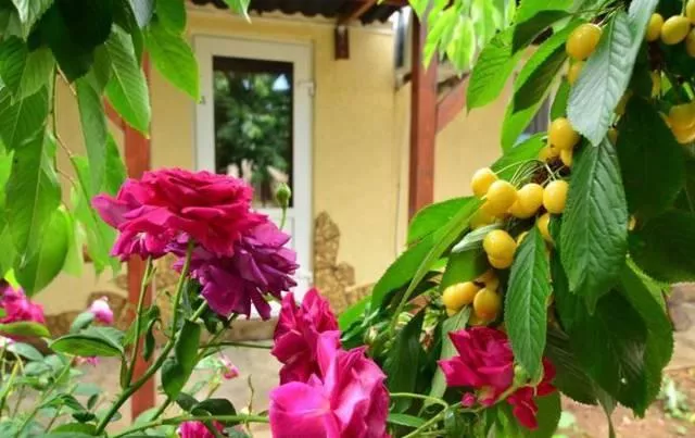 . Гостевой дом Есения. Заозерное