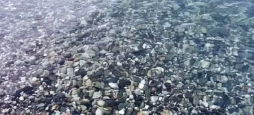 «Леона» «Леона»