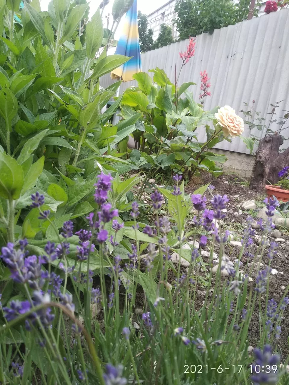 . Частный сектор "У Тани". Лазаревское