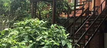 Частный сектор "На Калараш Василиса"