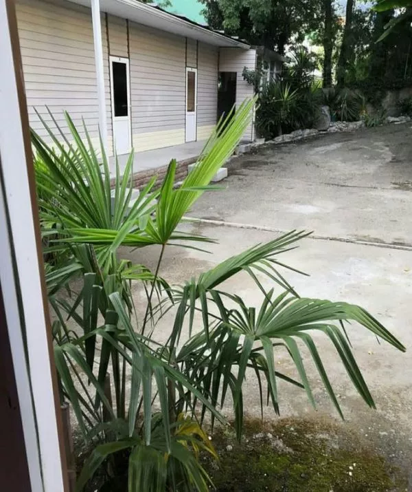 . Гостевой дом "ТИС-Комфорт" . Агой