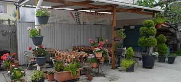 Гостевой дом "Джемма" 