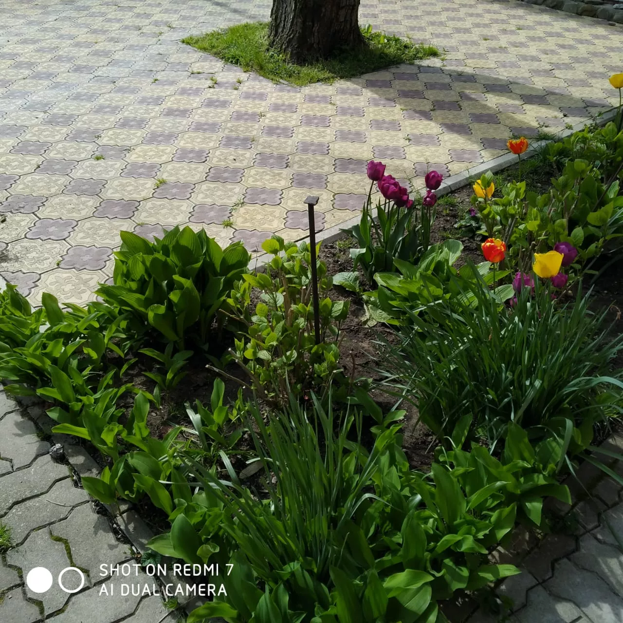 . Частный сектор "На Южной". Архипо-Осиповка