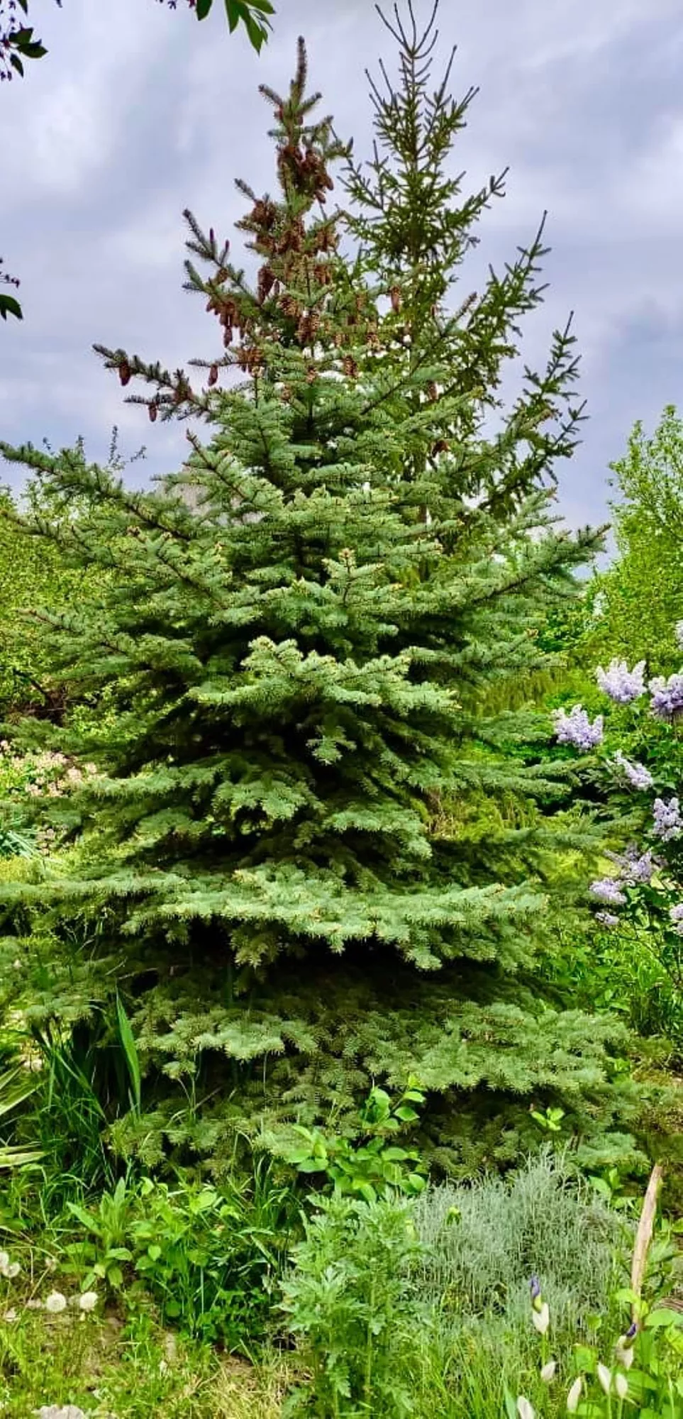 . Дом под ключ Малый дом в усадьбе. Феодосия