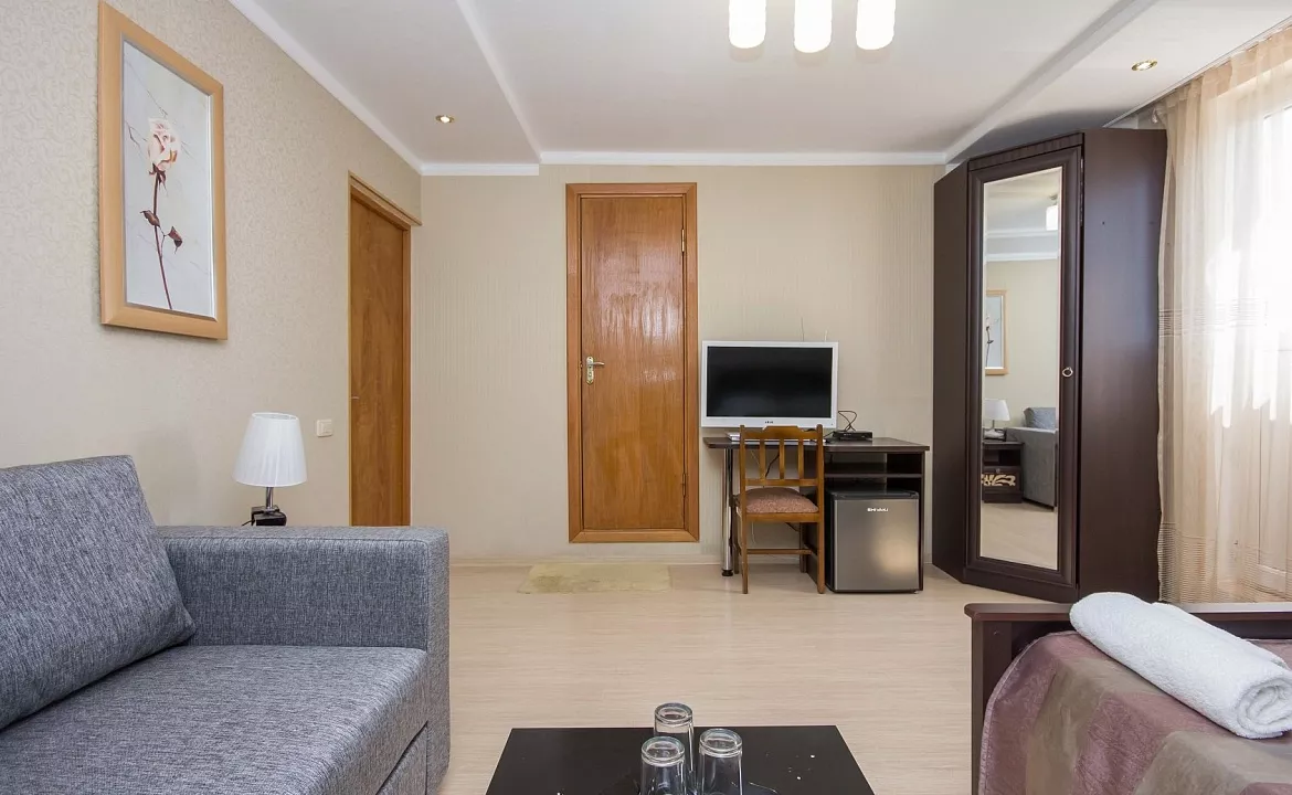 Стандарт 3-х местный. Отель "Виноград". Сочи