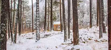 Отель «Сосновый бор» Отель «Сосновый бор»