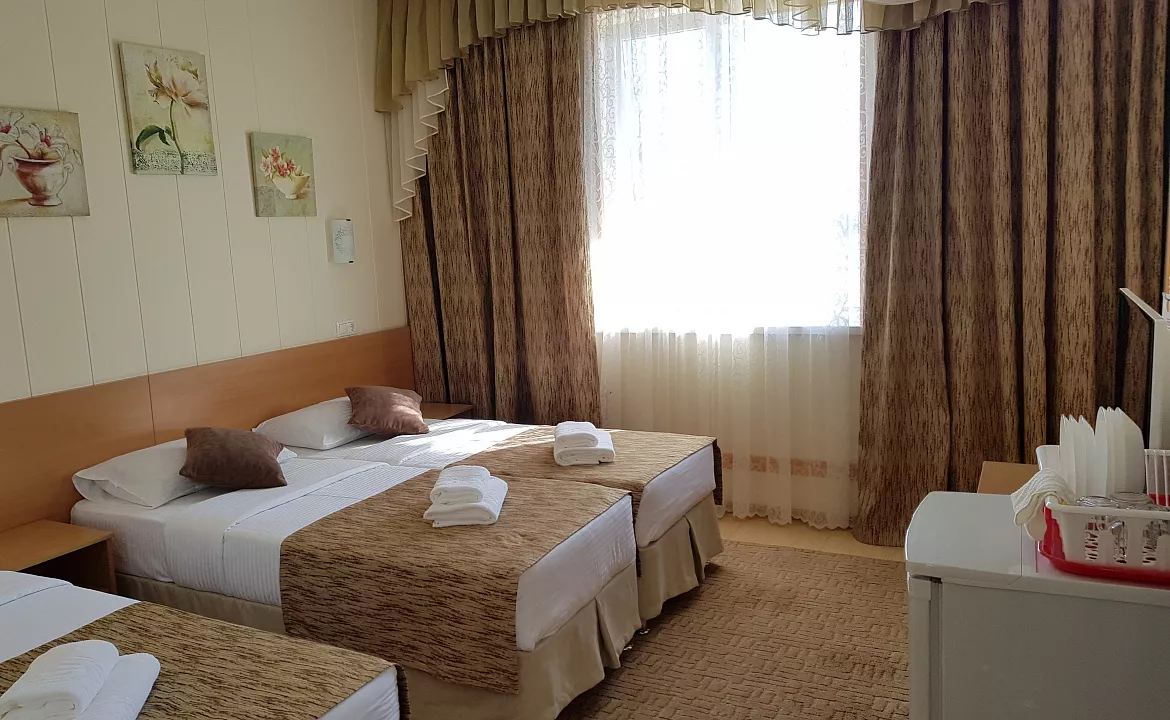 Люкс с отдельным балконом 3хместный. Отель АСТОН. Нижнее Джемете