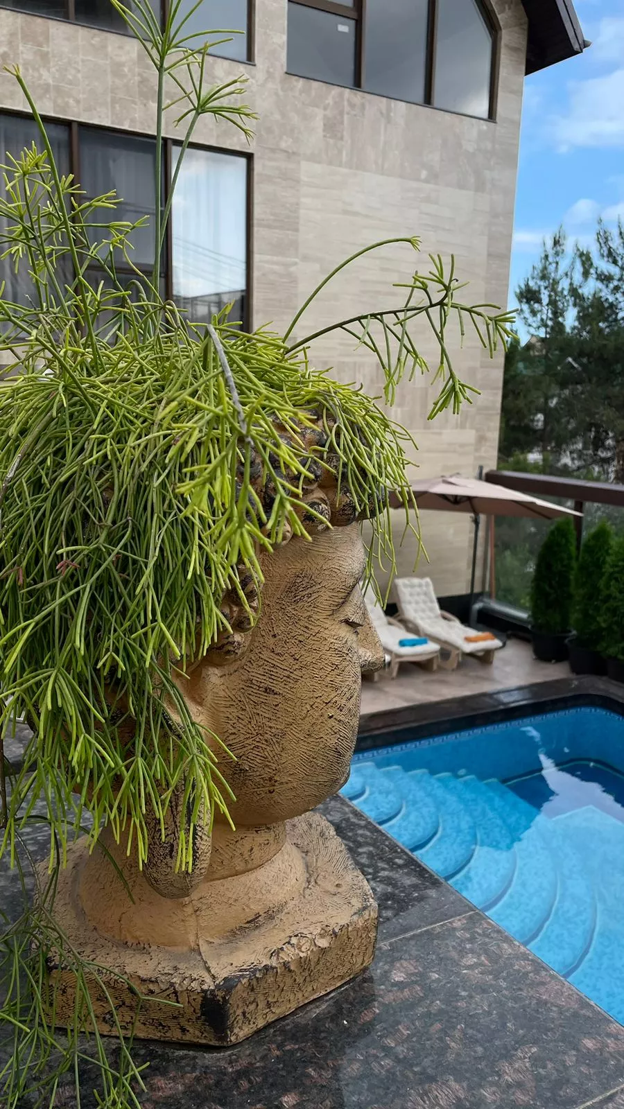 . АПАРТ ОТЕЛЬ ТК. Сочи