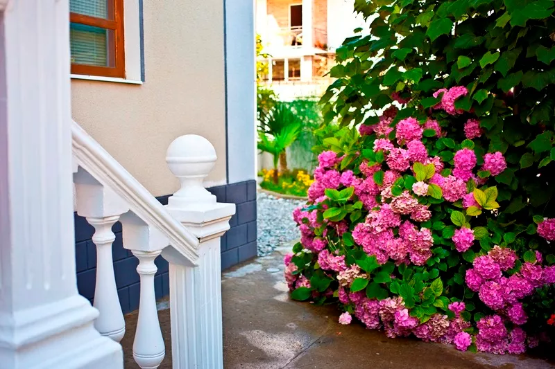 . Гостевой дом Самшит. Якорная Щель