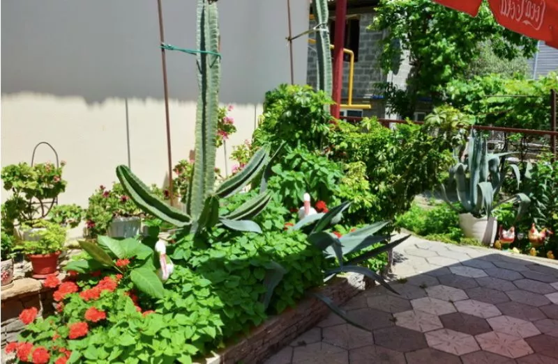 . Гостевой дом "Даниэль". Адлер