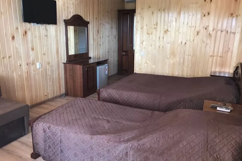 2, 3, 4-х, 5-ти местный «Люкс». Гостевой дом Олеандр. Гагра