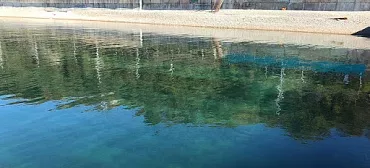 Гостевой дом Терраса