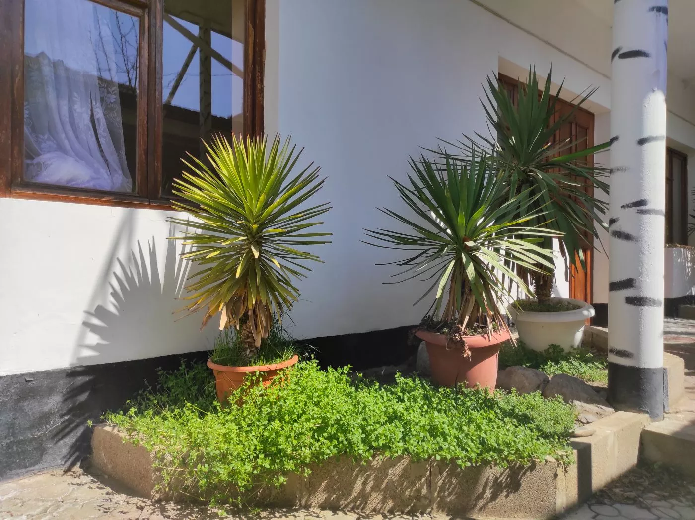 . Гостевой дом Green Patio. Рыбачье