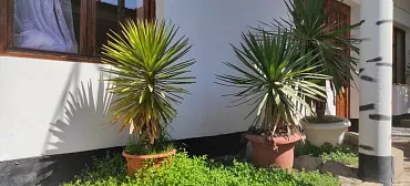 Гостевой дом Green Patio