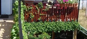 Гостевой дом "Паутинка"