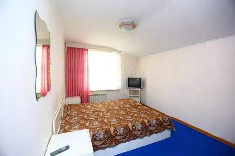 Двухместный номер «стандарт». Гостевой дом «Сочи». Сочи