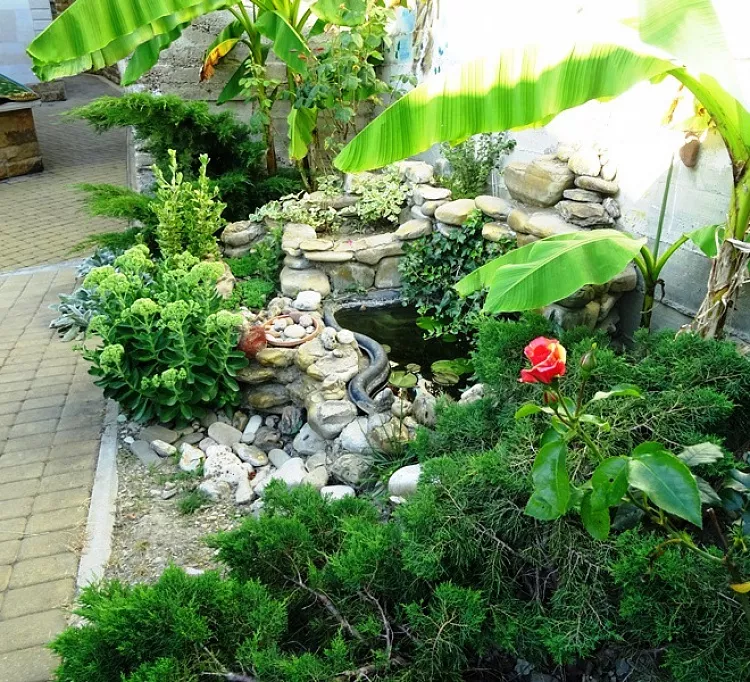 . Гостевой дом Mirel. Аше