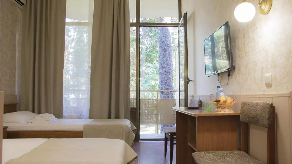 Стандарт трехместный. Отель Профспотр . Адлер