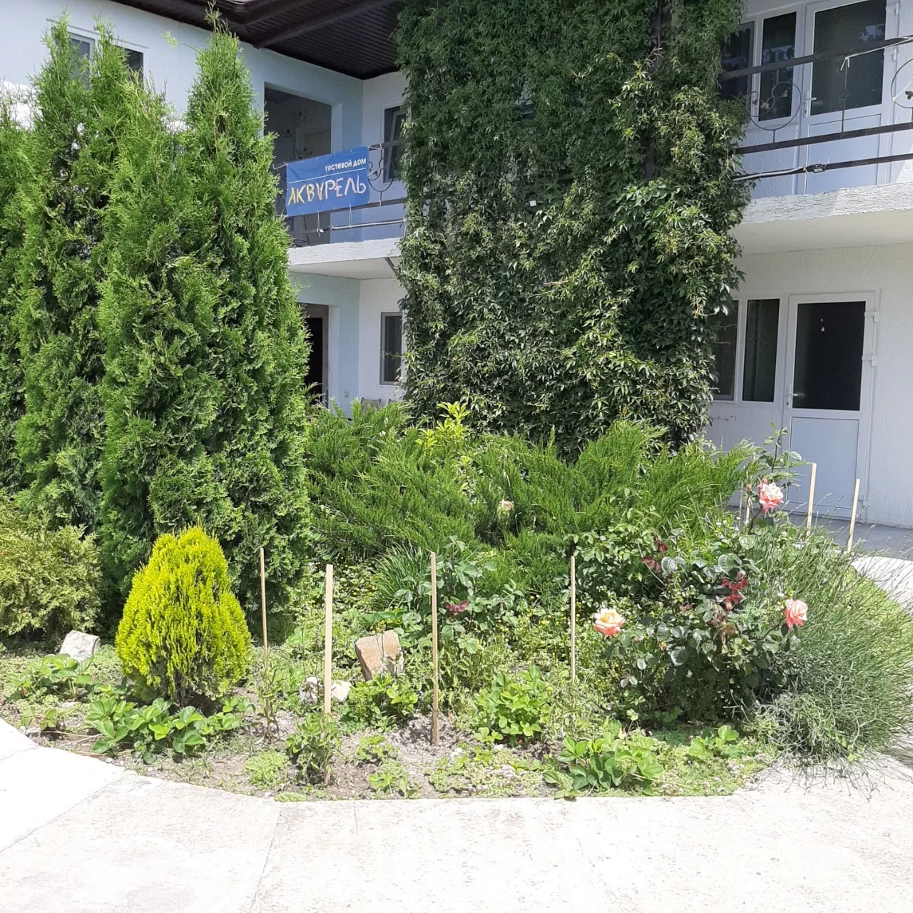 . Отель "Акварель". Криница