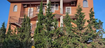 Гостевой дом Iron Lion