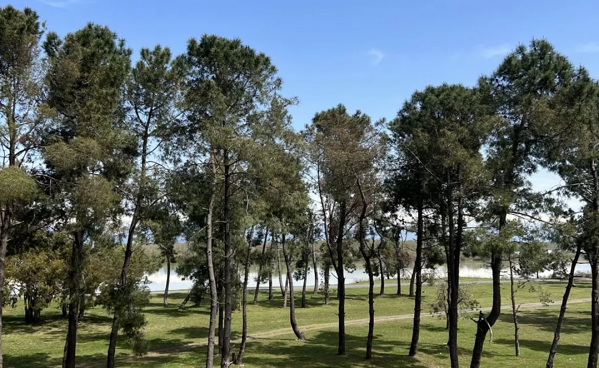 Домик с двумя спальнями и кухней. База отдыха "Скурча". Сухум