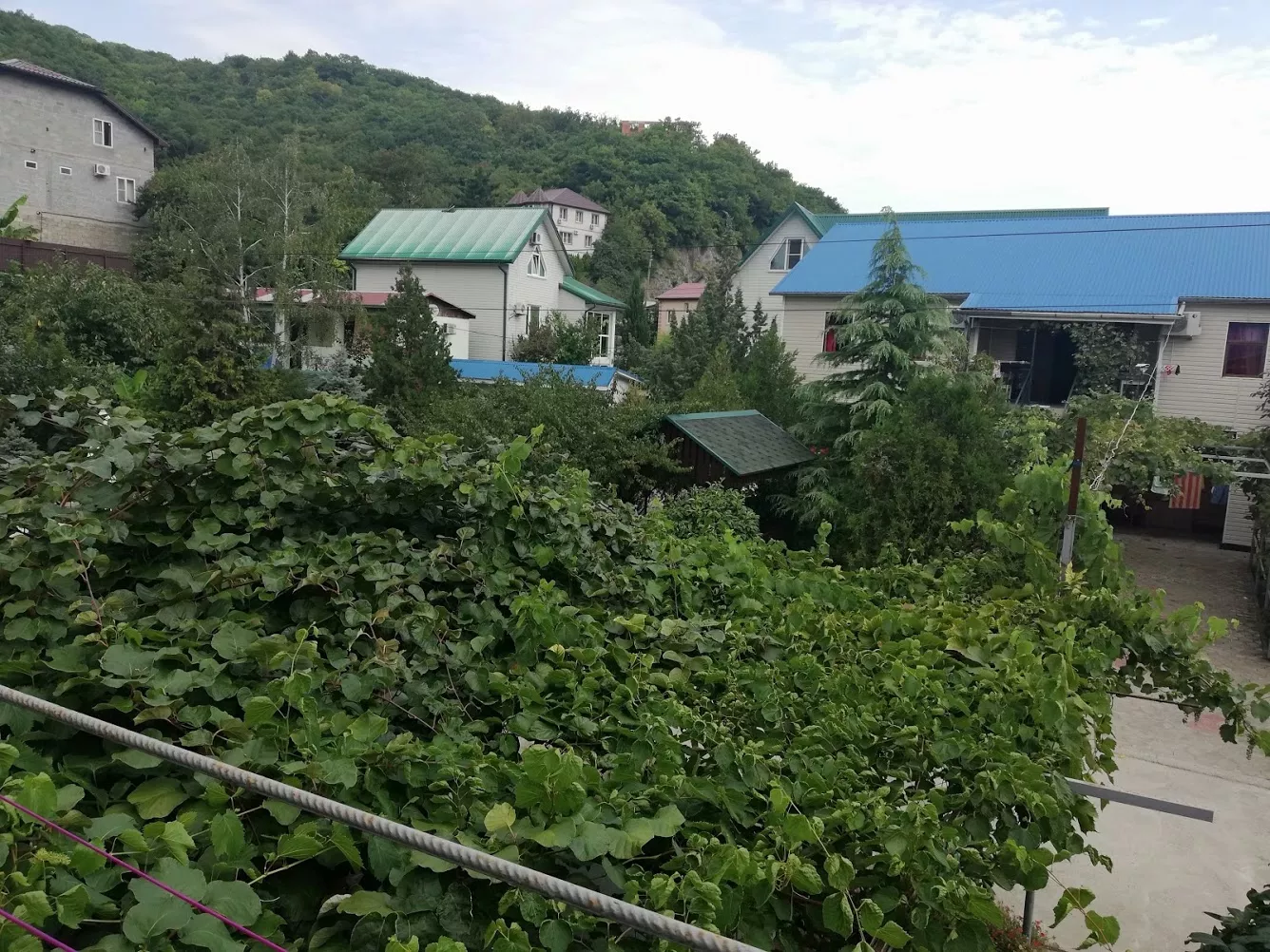 . Гостевой дом "Сибирячка". Ольгинка