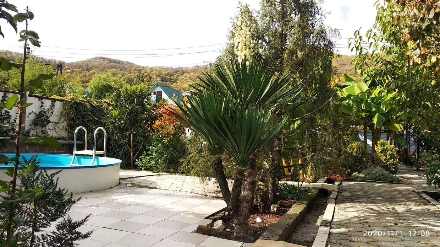 . Гостевой дом "Ростовский дворик". Ольгинка