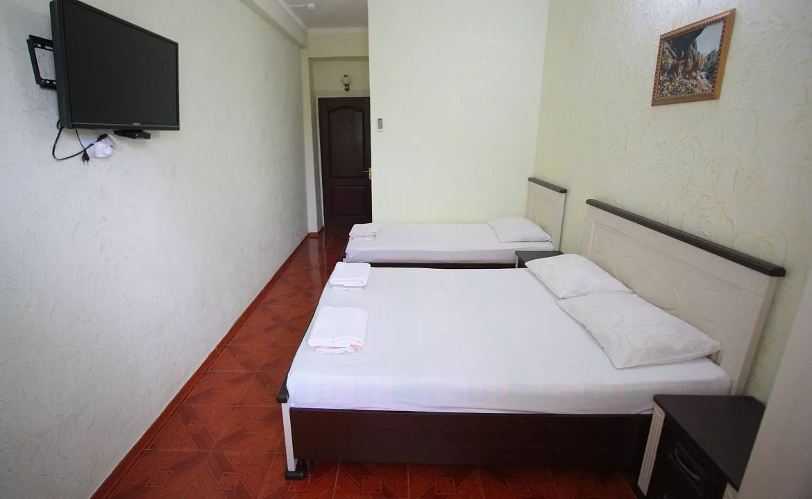 Люкс однокомнатный 3-х местный с балконом. Гостевой дом «ZIRIDIS». Витязево