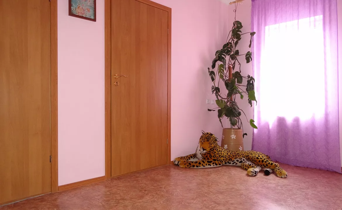 одноместный. Гостиница "Водолейчик". Алушта