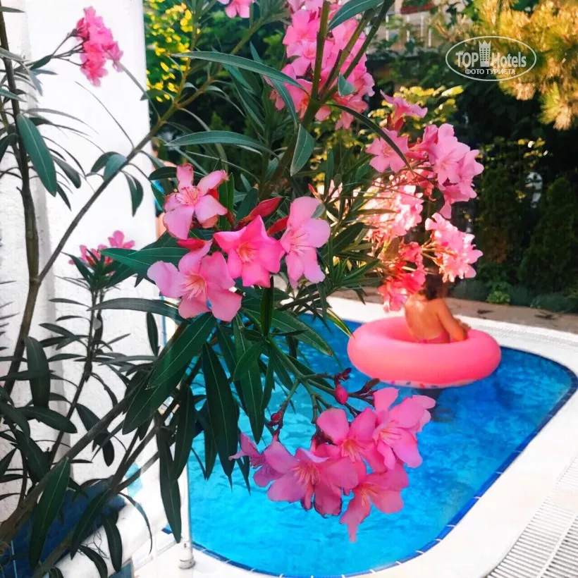 . Отель Коттедж № 32 Чудесный. Симферополь