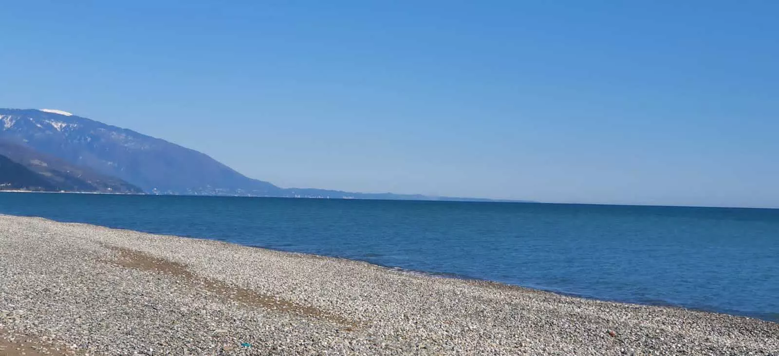 . Гостевой дом "Розовая пантера". Гагра