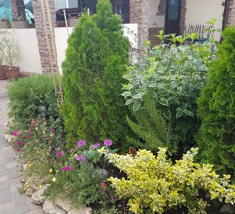 . Частный гостевой дом Белиссимо. Голубицкая . Частный гостевой дом Белиссимо. Голубицкая