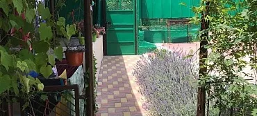 Гостевой дом "Ласточка" - Небуг