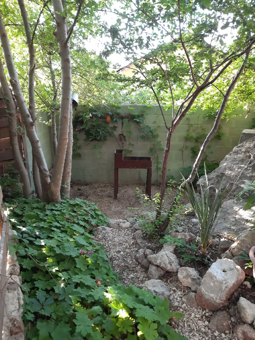 . Гостевой дом «Ясеневая роща». Балаклава . Гостевой дом «Ясеневая роща». Балаклава