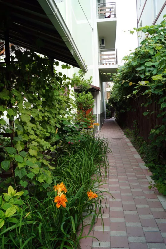 . Гостевой дом "Натали" - Лазаревское. Лазаревское