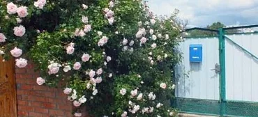 Дом под ключ На Комсомольской 25