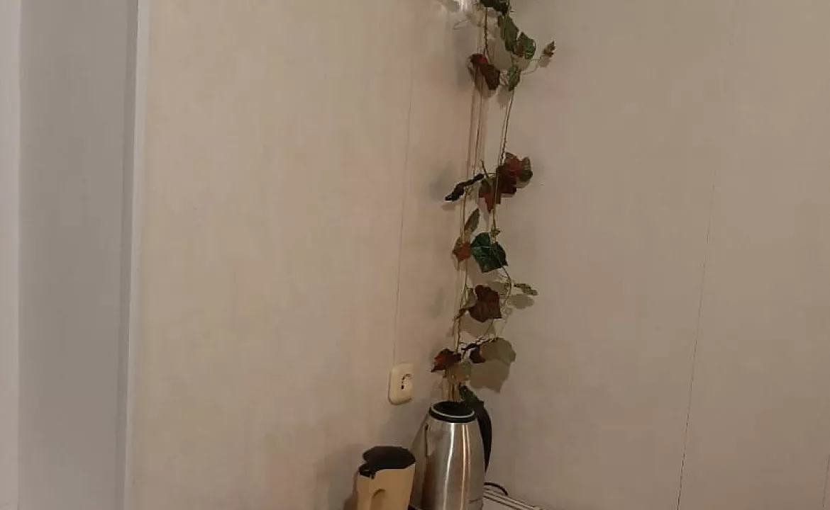 Однушка по ул Абазга. Однушка по ул Абазга. Гагра