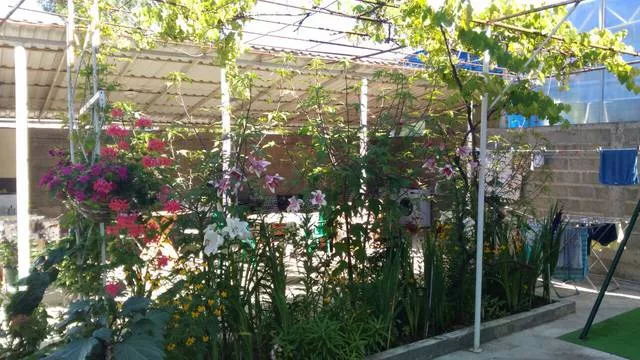 . Гостевой дом «Квартирки у моря» (кухня в номере). Вардане