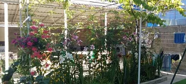 Гостевой дом «Квартирки у моря» (кухня в номере)