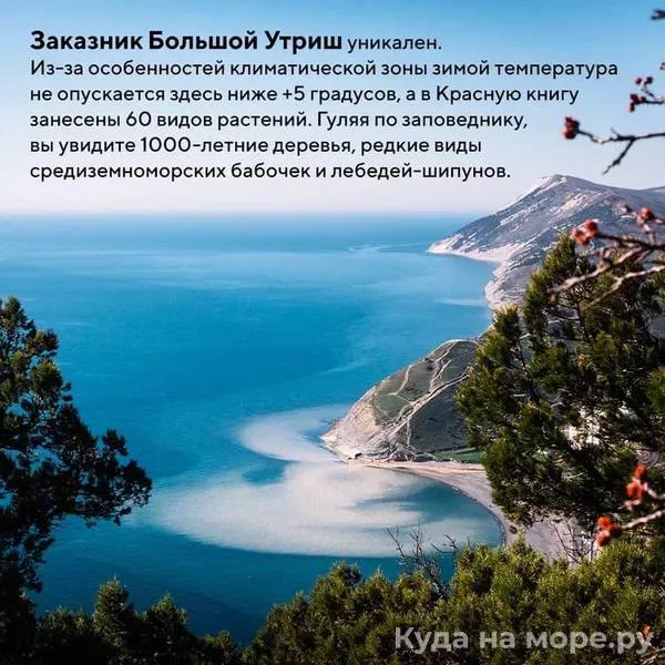 . Уютная студия "Мария" с бассейнами во дворе . Сукко