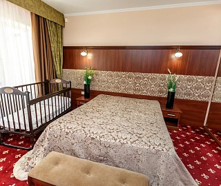 Superior Однокомнатный номер. Отель Tizdar Family Resort & SPA ★★★★★. Superior Однокомнатный номер. Отель Tizdar Family Resort & SPA ★★★★★.