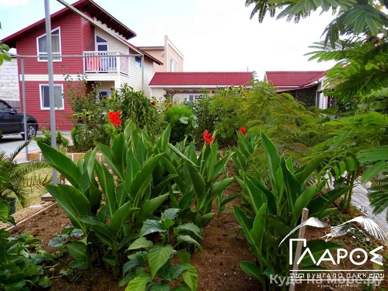 . Бунгало парк «ΓΛΑΡΟΣ». Береговое