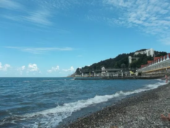 . Санаторий Зеленая роща. Хоста